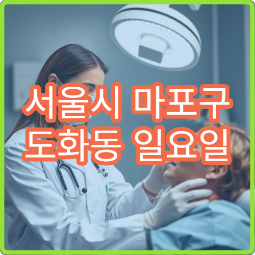 서울시 마포구 도화동 일요일 정형외과 허리디스크 통증