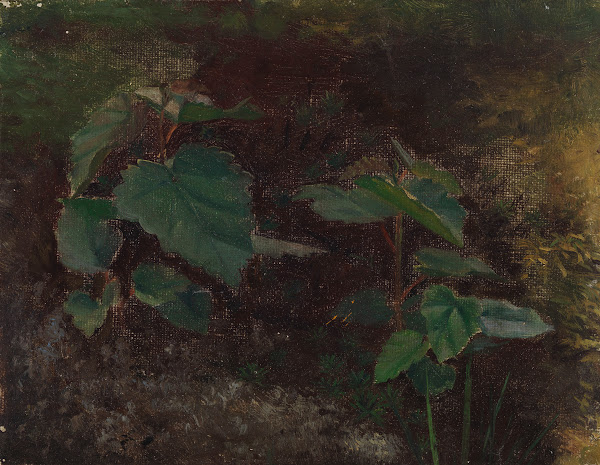 Tree Plants sketch for the painting Fairy Tale Princess 1895   1896