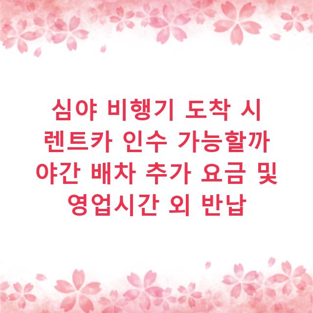 심야 비행기 도착 시 렌트카 인수 가능할까 야간 배차 추가 요금 및 영업시간 외 반납