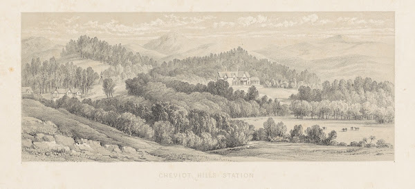 New Zealand Graphic and Descriptive Plate IV Cheviot Hills station 1877