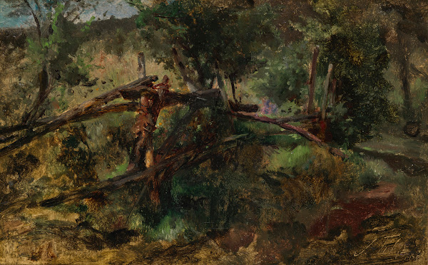 Waldweg mit Zaun