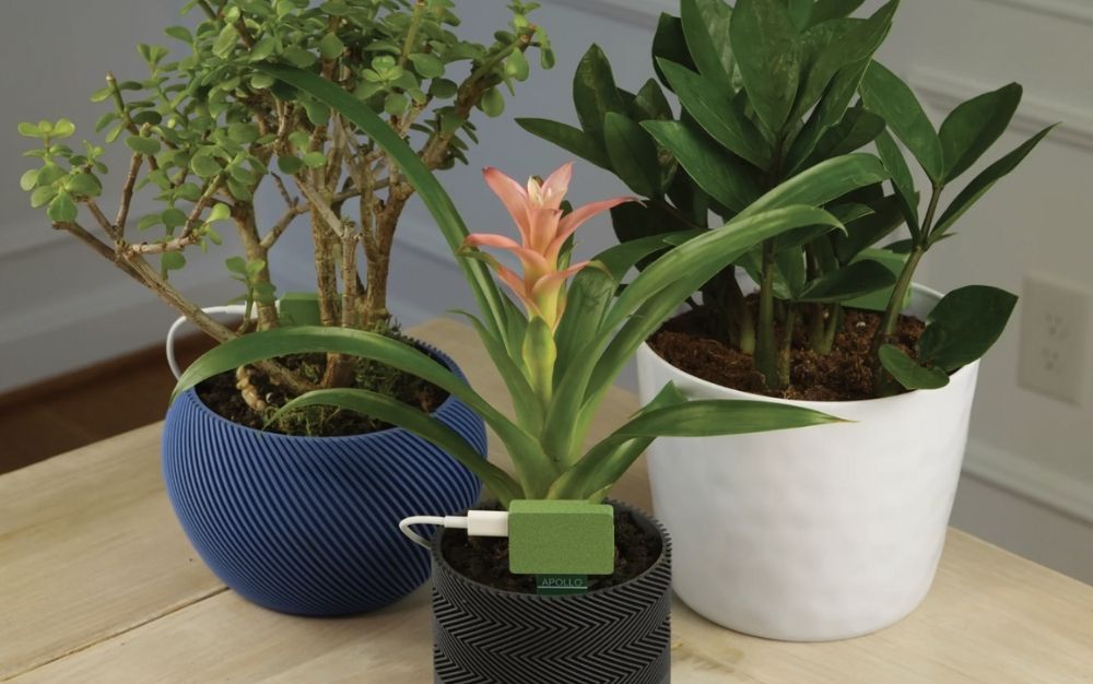 Apollo PLT One Plant Sensor