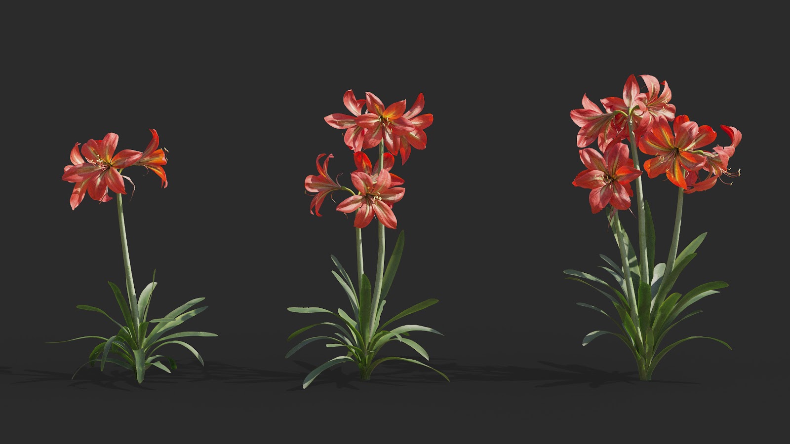 Maxtree - Plant Models Vol.64