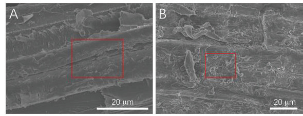 Effect of Dual-Site Supported Carbon-Fixation Materials on the Char Yield of Bamboo Powder Pyrolysis