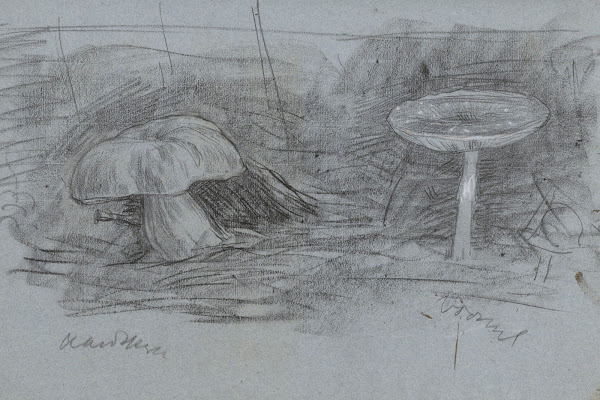 Paddenstoelen 1874   1925
