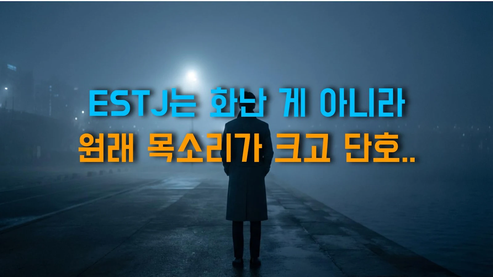 ESTJ는 화난 게 아니라 원래 목소리가 크고 단호한 거다