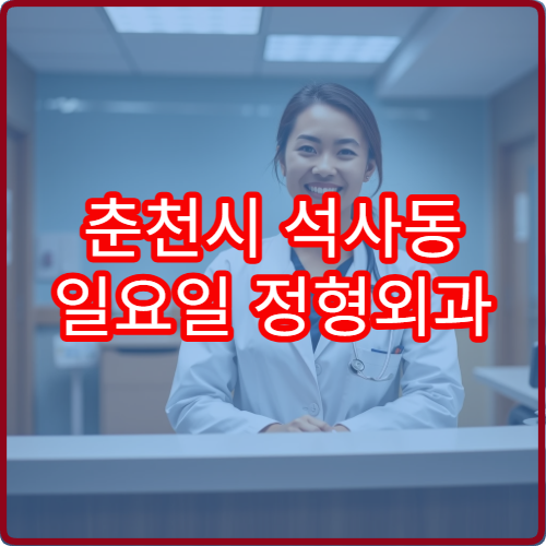 춘천시 석사동 일요일 정형외과 진료 병원 위치 정리