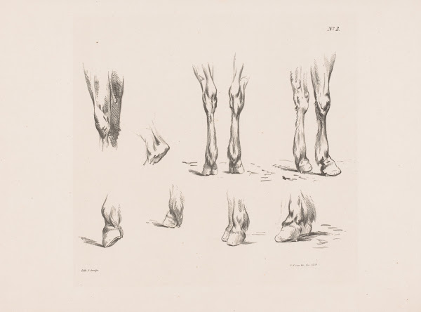 Acht studies van paardenbenen en  hoeven 1835