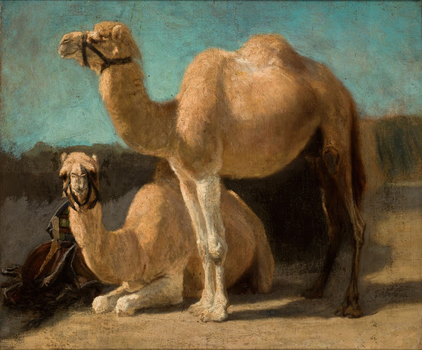 Two Camels 1853 1854