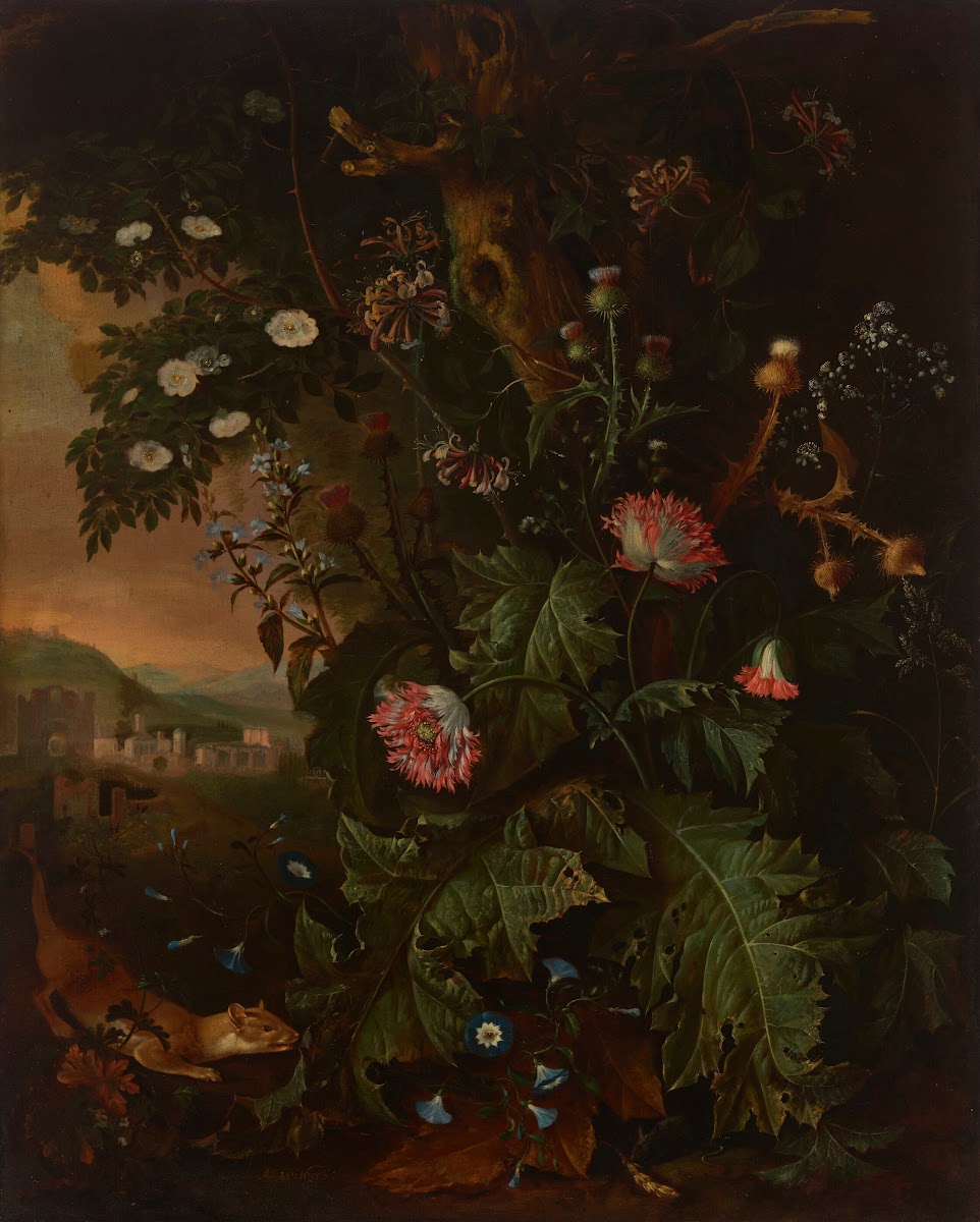 A forest floor with a weasel mouse opium poppy and thistle a view of Rome in the