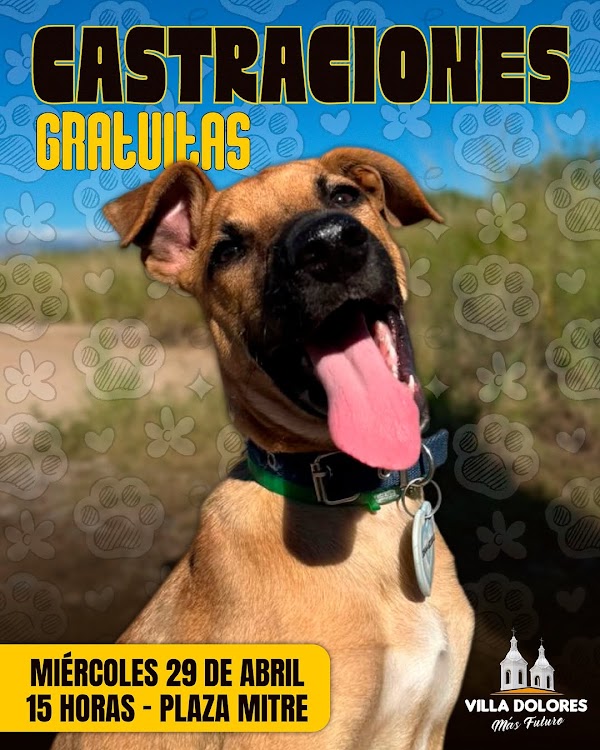 Castraciones Gratuitas y Vacunas Antirrábicas