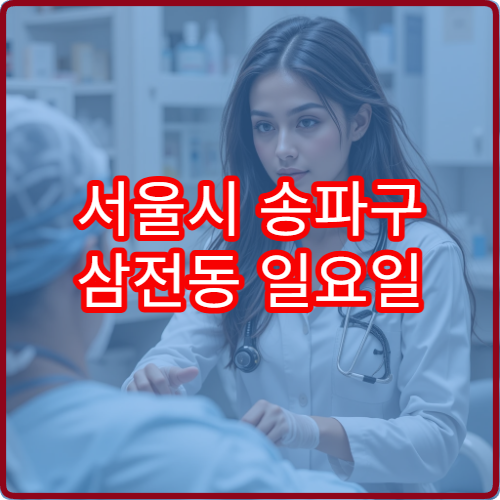 서울시 송파구 삼전동 일요일 피부과 진료 병원 피부 트러블