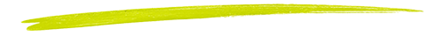Green Paint Brush Stroke