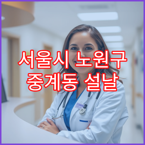 ​서울시 노원구 중계동 설날 명절 연휴 당직약국 중계역·중계주공아파트 주변 문 여는 약국 영업시간 안내