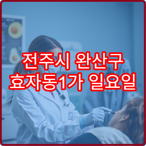 전주시 완산구 효자동1가 일요일 진료 이비인후과 인후통 비염 진료