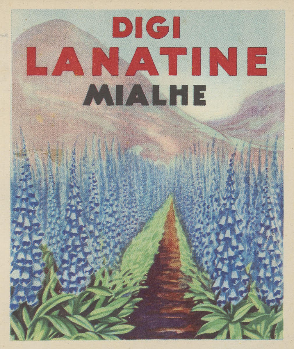 Digi Lanatine Mialhe 1910 1950