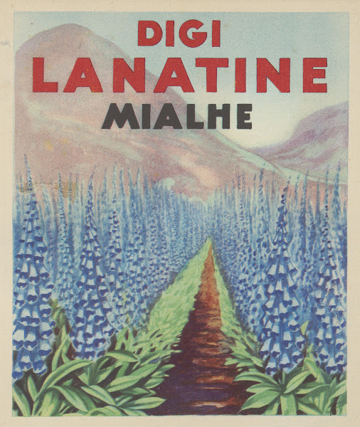 Digi Lanatine Mialhe 1910 1950
