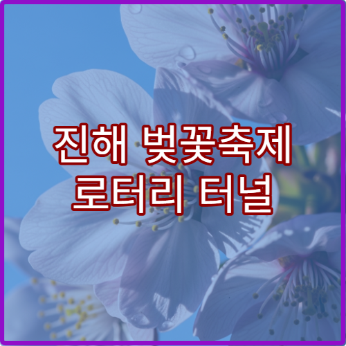 진해 벚꽃축제 로터리 터널 야경 시간과 최고 사진 포인트