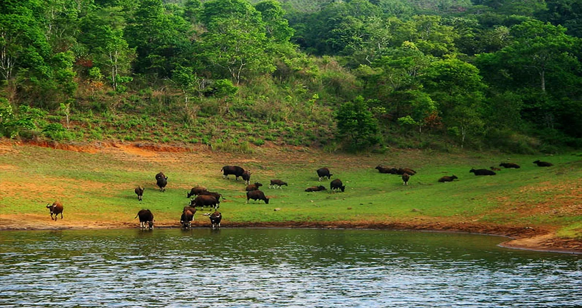 Debrigarh Wildlife Sanctuary