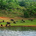 Top 5 Places to Visit in Bolangir, Odisha, for an Unforgettable Experience