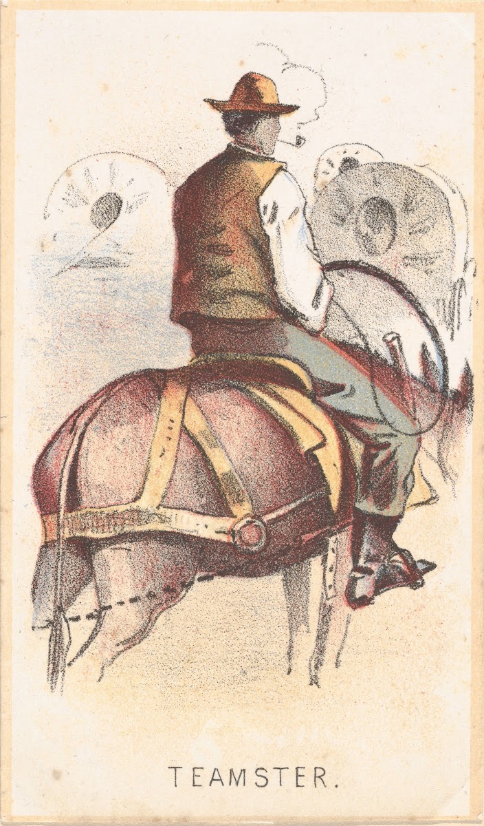 Teamster 1864