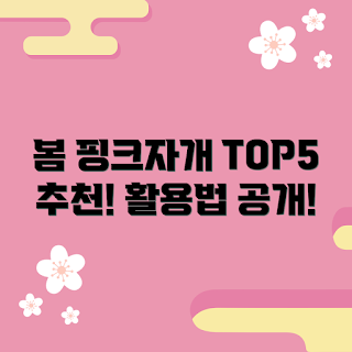 핑크자개, 봄 패션, 트렌드 아이템, 액세서리 활용법, 스타일링 팁