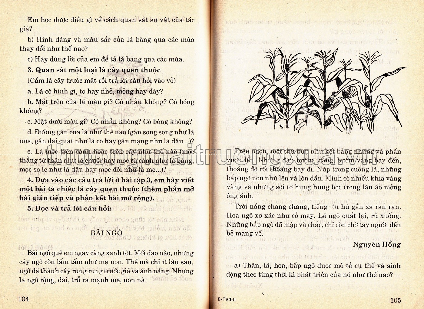 Tiếng Việt 4 (tập 2 - 1998) - Trang 117