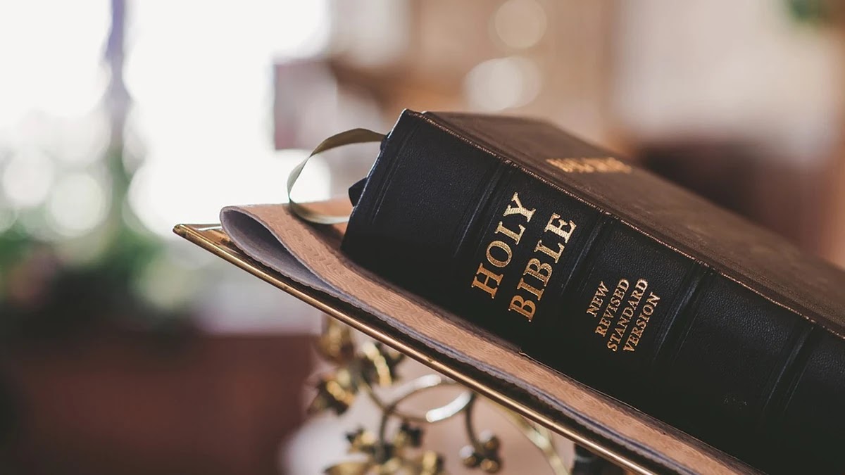 이동평균선 골든크로스와 데드크로스 적용 사례 비교