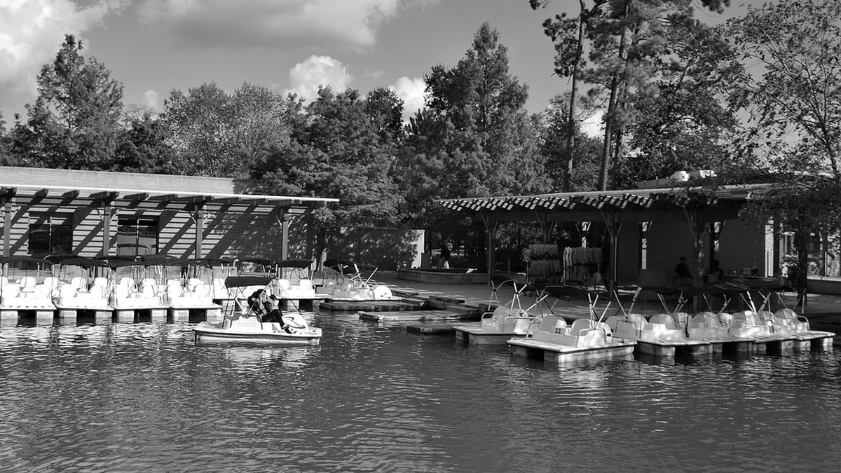 가족 건강 관리를 위한 운동 시 체력별 맞춤 프로그램 설계법