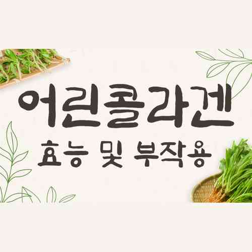 저분자 어린콜라겐 효능 부작용 총정리! 피부탄력에 도움될까?