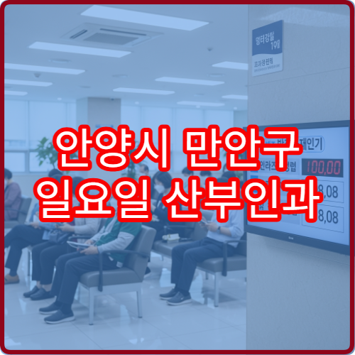 안양시 만안구 일요일 산부인과 진료 병원 복통·출혈 상담 가능