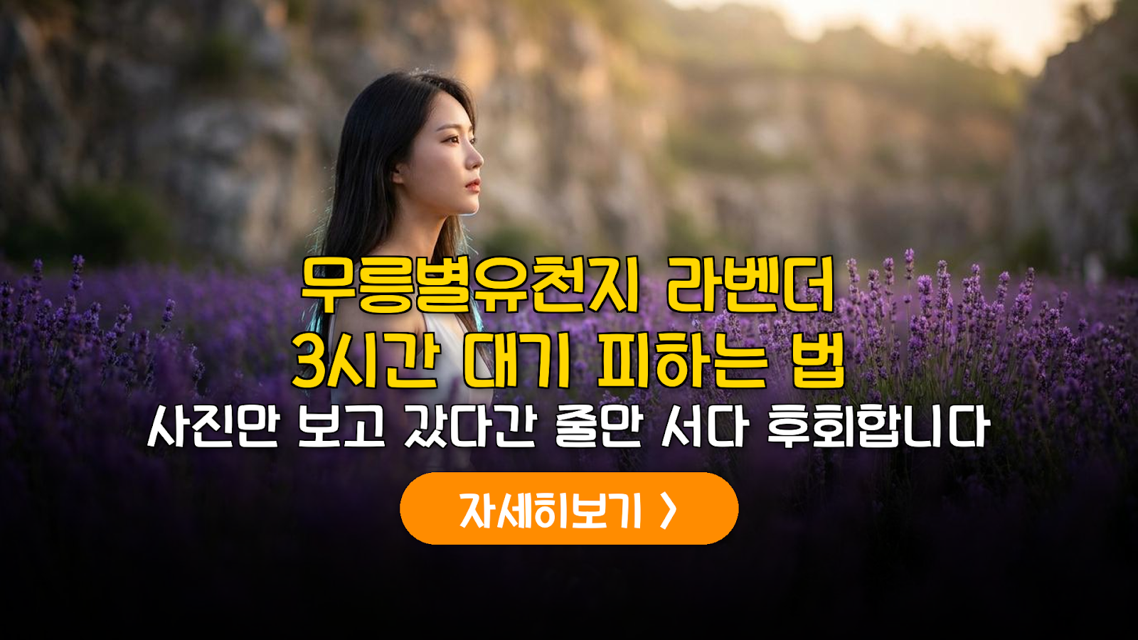 무릉별유천지 라벤더 축제 대기 단축 및 주차 가이드