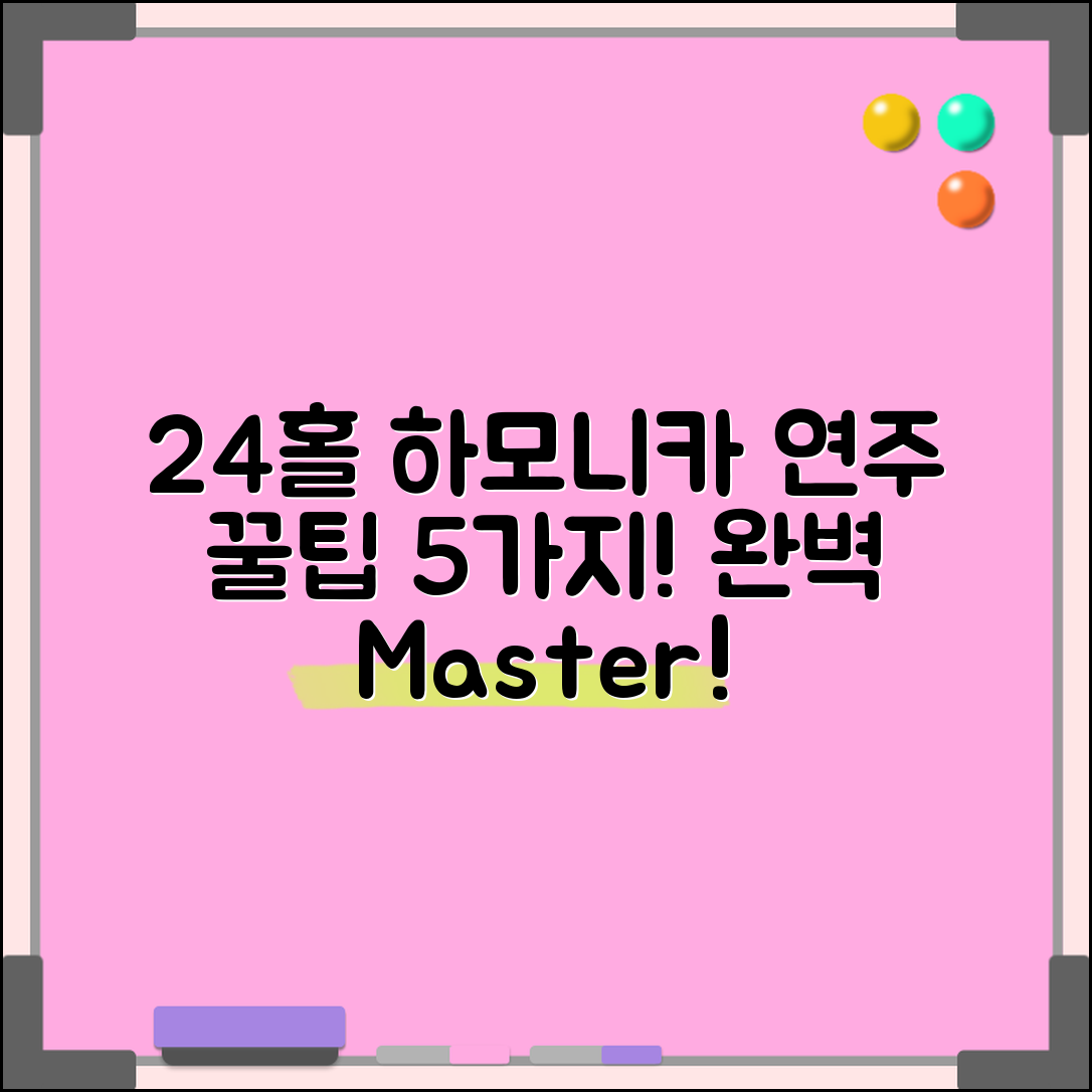 24홀하모니카 연주를 위한 5가지 팁