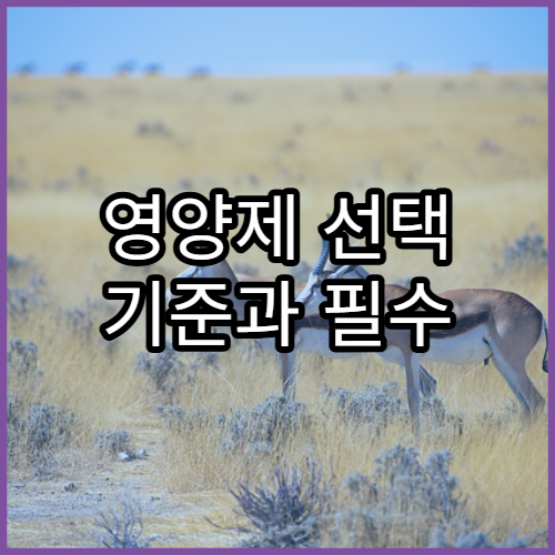 영양제 선택 기준과 필수 성분 이해하기 쉬운 해설