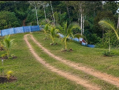 Tanah Dusun Durian 10 Ekar, Bentong — foto 4/10
