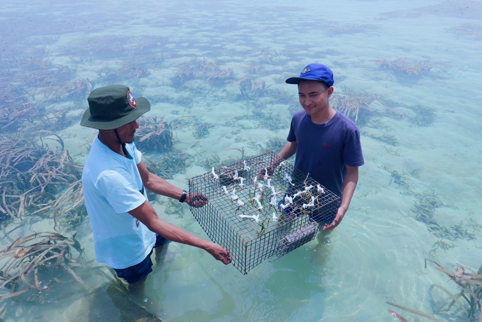 Research on seagrass ecosystem restoration is the primary focus of the Ministry of Marine Affairs and Fisheries (KKP) due to the benefits derived from seagrass ecosystems for both the environment and coastal communities.