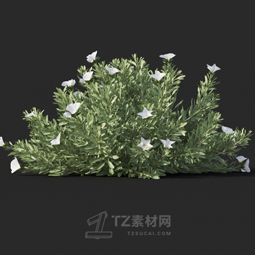 Maxtree - Plant Models Vol.60