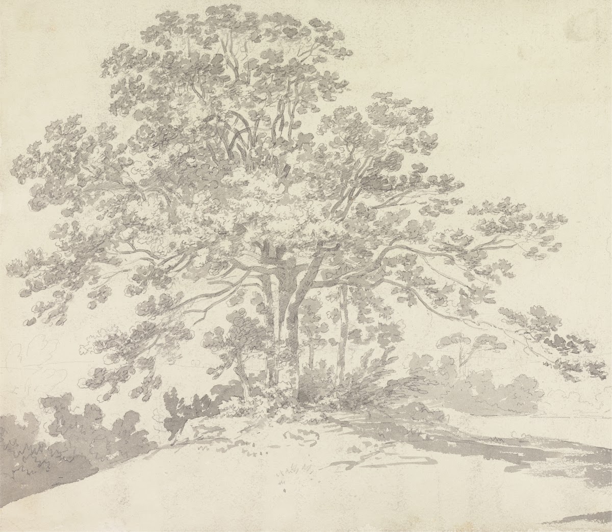 Tree 1790s