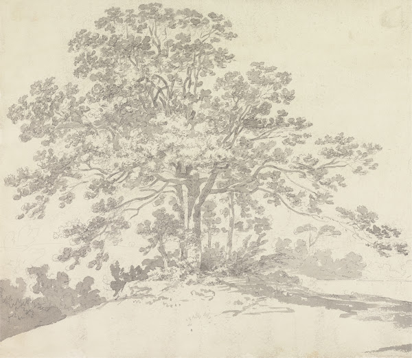Tree 1790s