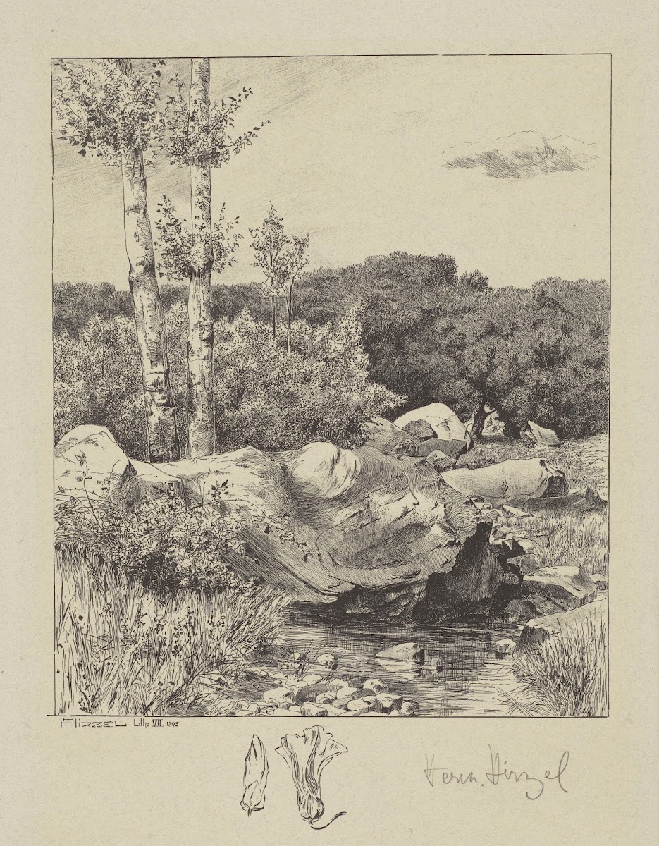 At a Stream 1895