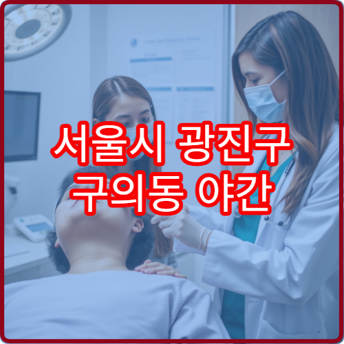 서울시 광진구 구의동 야간 안과 병원 정보 오늘 밤 안과 영업 확인