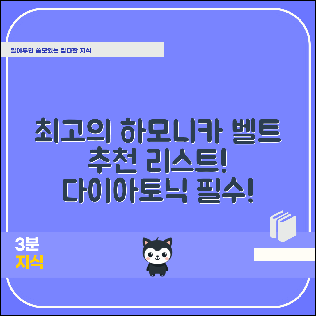 최고의 다이아토닉하모니카벨트 추천은?