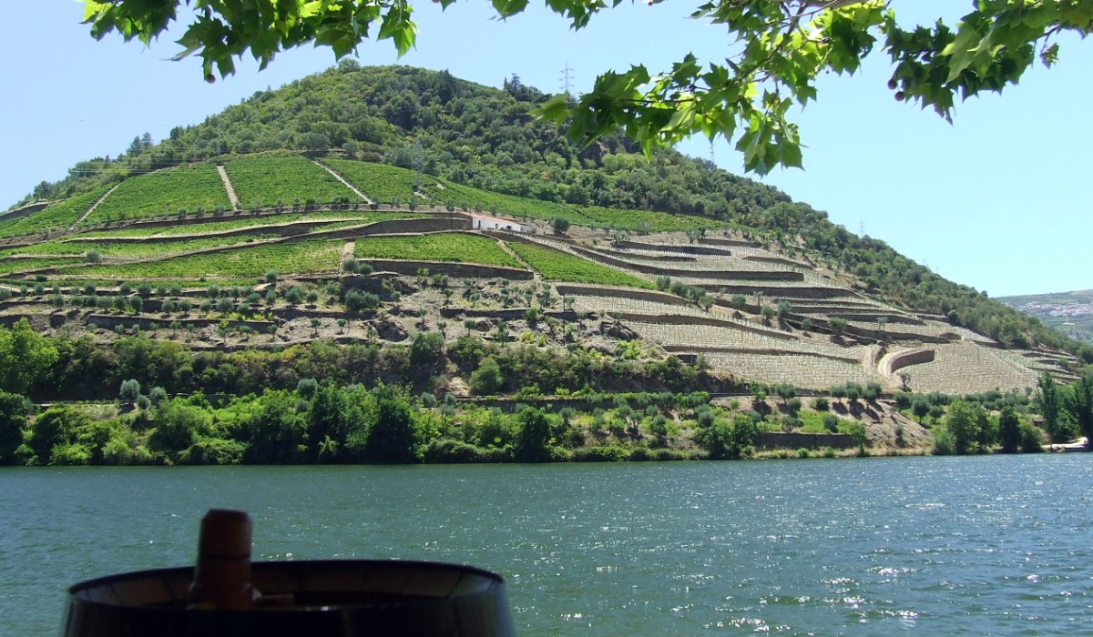 How to Get to Six Senses Douro Valley from Lisbon: A Travel Guide