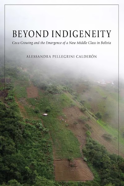 Beyond Indigeneity- Coca Growing and the Emergence of a New Middle Class in Bolivia
