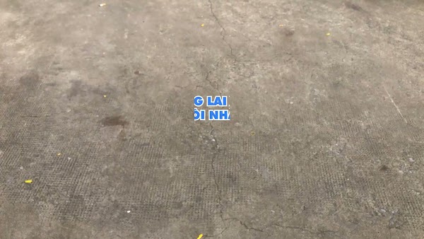 Video thumbnail từ Google Drive