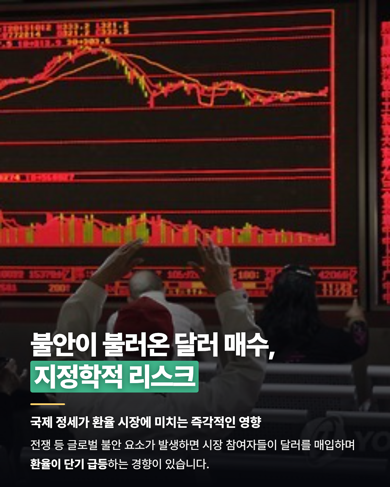 카드뉴스