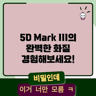 5dmark3, DSLR 카메라, 사진 퀄리티, 고화질 사진, 카메라 성능