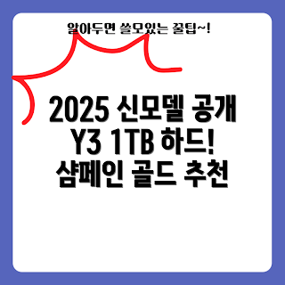 외장하드 1TB, 샴페인 골드 외장하드, HX-MK10Y3 리뷰, 외장하드 추천, 왜 외장하드를 선택해야 하나