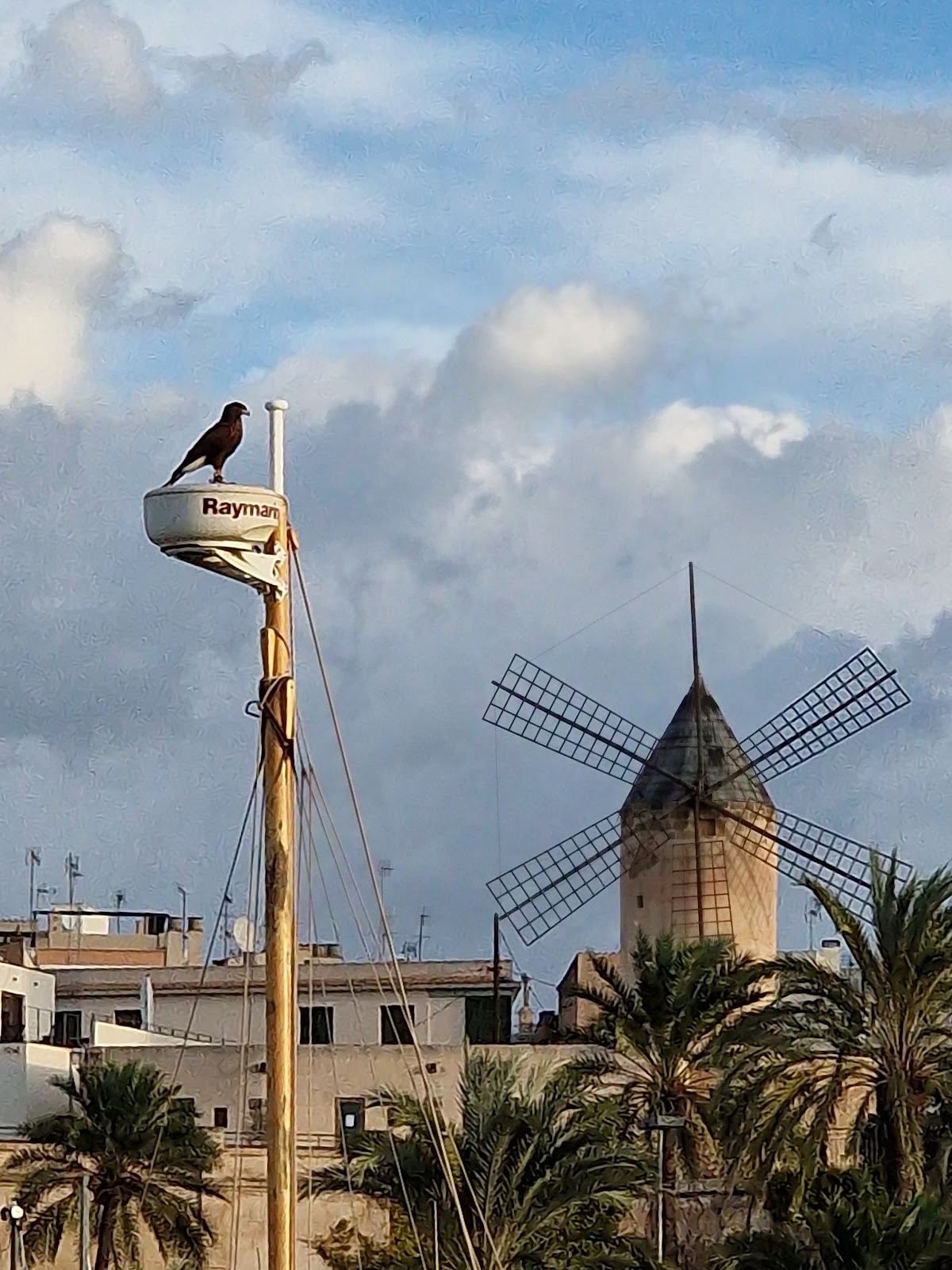 Photo de l’escale Palma