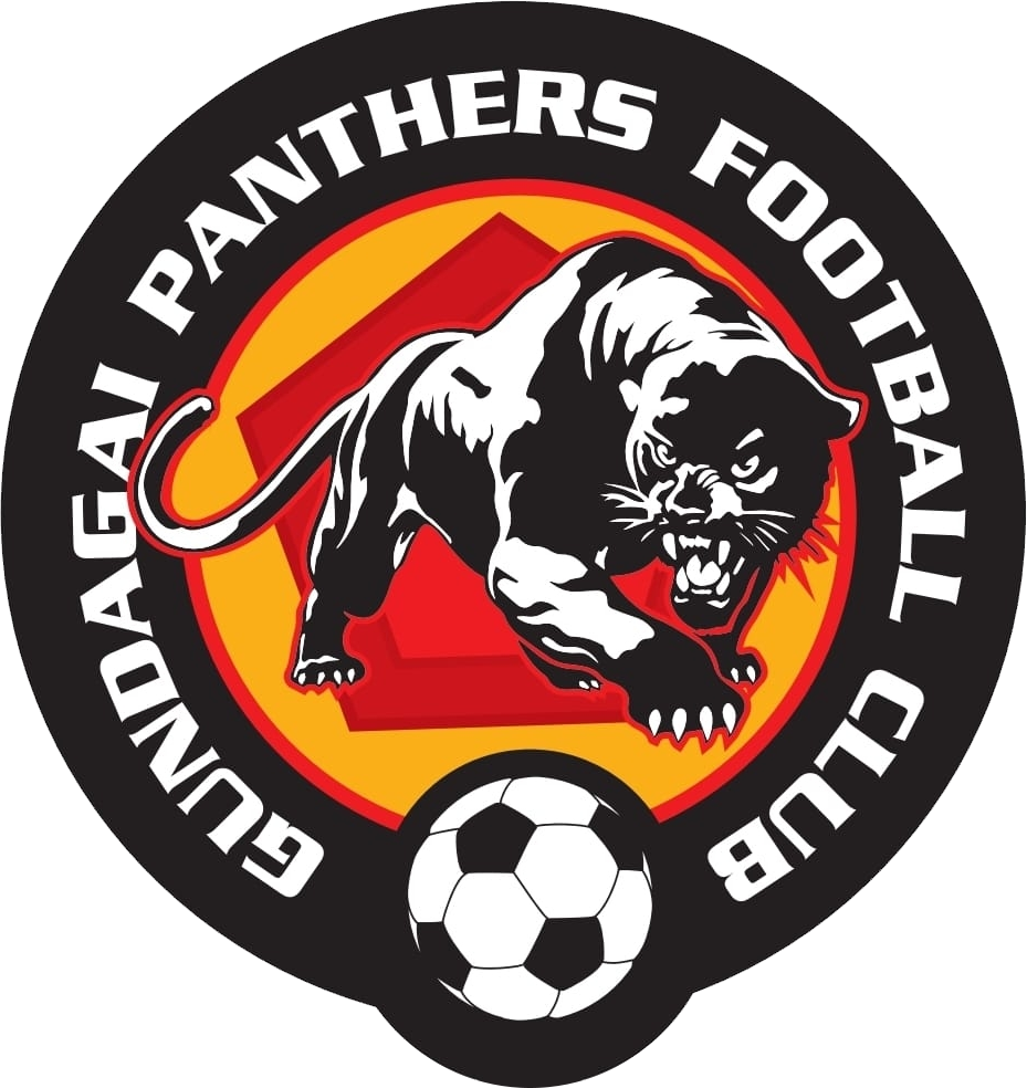 Gundagai Panthers FC logo